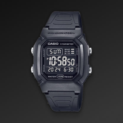 Casio W-800H, urskive