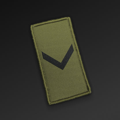 Borrelåsdistinksjon Grønn